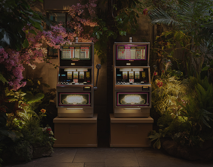 Flappy Casino